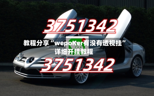 教程分享“wepoKer有没有透视挂	”详细开挂教程-第1张图片
