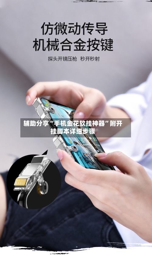 辅助分享“手机金花软挂神器”附开挂脚本详细步骤-第1张图片