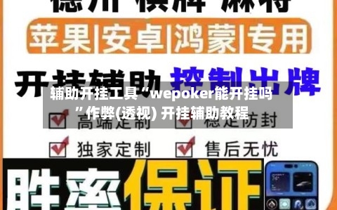 辅助开挂工具“wepoker能开挂吗”作弊(透视) 开挂辅助教程-第1张图片