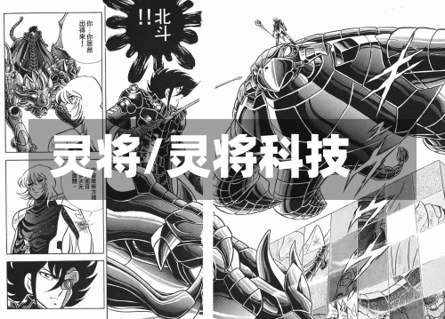 灵将/灵将科技-第1张图片