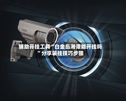 辅助开挂工具“白金岛湘潭能开挂吗	”分享装挂技巧步骤-第1张图片