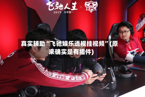 真实辅助“飞驰娱乐透视挂视频”(原来确实是有插件)-第1张图片