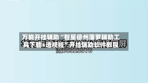 万能开挂辅助“智星德州菠萝辅助工具下载+透视挂”开挂辅助软件教程-第1张图片