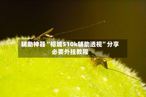 辅助神器“榕城510k辅助透视”分享必要外挂教程-第1张图片
