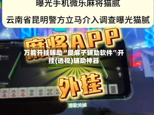 万能开挂辅助“捉麻子辅助软件”开挂(透视)辅助神器-第1张图片