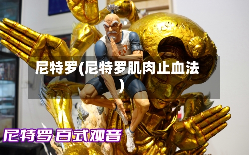 尼特罗(尼特罗肌肉止血法)-第1张图片
