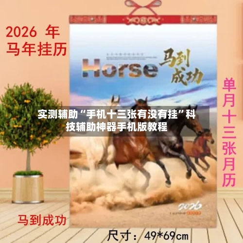实测辅助“手机十三张有没有挂	”科技辅助神器手机版教程-第1张图片