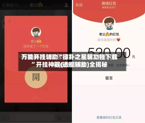 万能开挂辅助“德扑之星辅助挂下载”开挂神器{透视辅助}全揭秘-第1张图片