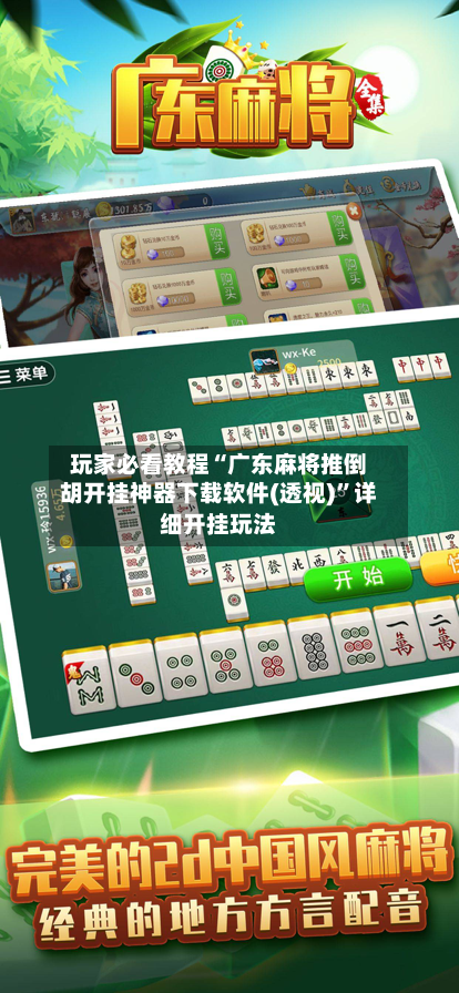玩家必看教程“广东麻将推倒胡开挂神器下载软件(透视)”详细开挂玩法-第1张图片