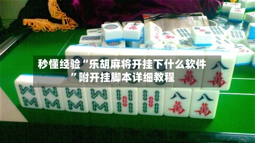 秒懂经验“乐胡麻将开挂下什么软件”附开挂脚本详细教程-第1张图片