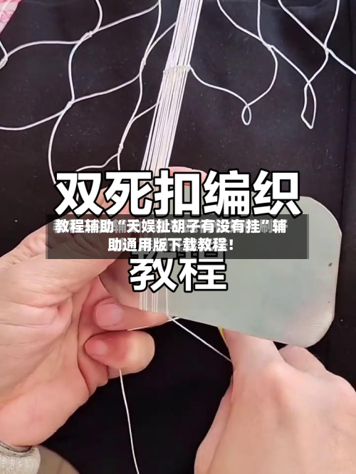 教程辅助“天娱扯胡子有没有挂”辅助通用版下载教程！-第1张图片
