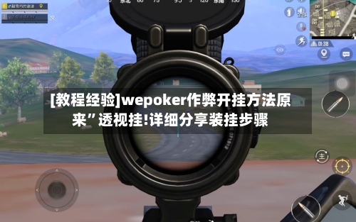 [教程经验]wepoker作弊开挂方法原来”透视挂!详细分享装挂步骤-第1张图片