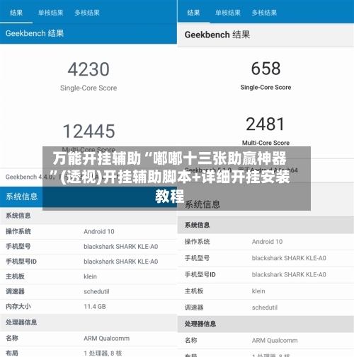万能开挂辅助“嘟嘟十三张助赢神器	”(透视)开挂辅助脚本+详细开挂安装教程-第1张图片