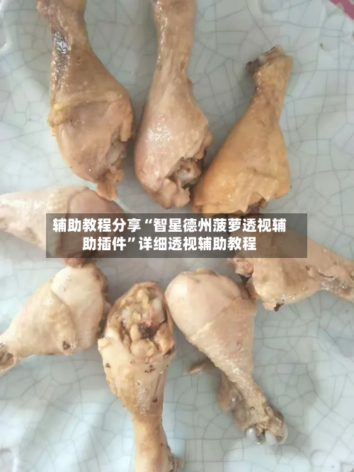 辅助教程分享“智星德州菠萝透视辅助插件”详细透视辅助教程-第1张图片