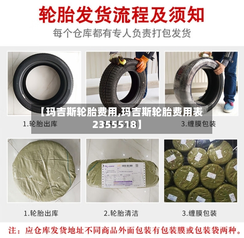 【玛吉斯轮胎费用,玛吉斯轮胎费用表2355518】-第1张图片