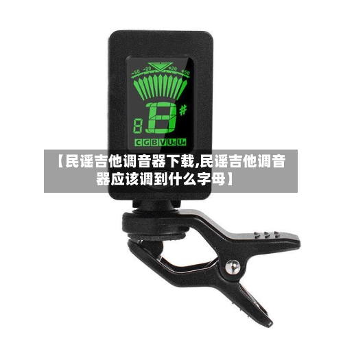 【民谣吉他调音器下载,民谣吉他调音器应该调到什么字母】-第1张图片