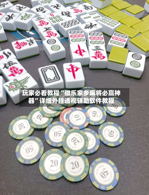 玩家必看教程“微乐家乡麻将必赢神器”详细外挂透视辅助软件教程-第1张图片