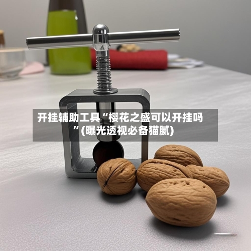 开挂辅助工具“樱花之盛可以开挂吗”(曝光透视必备猫腻)-第1张图片