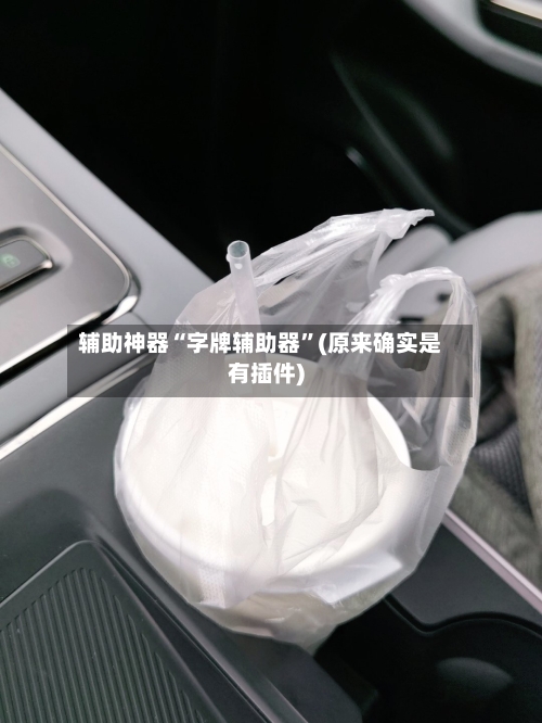 辅助神器“字牌辅助器	”(原来确实是有插件)-第1张图片