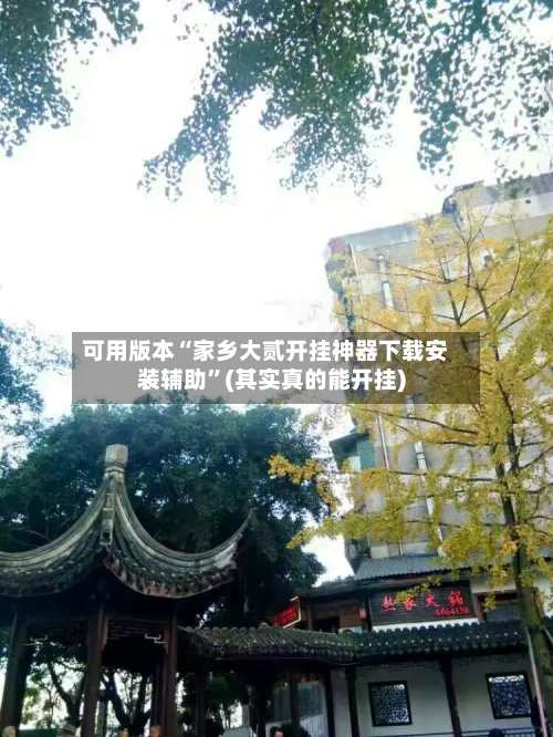 可用版本“家乡大贰开挂神器下载安装辅助	”(其实真的能开挂)-第1张图片