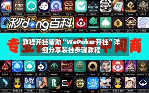 教程开挂辅助“WePoker开挂	”详细分享装挂步骤教程-第1张图片