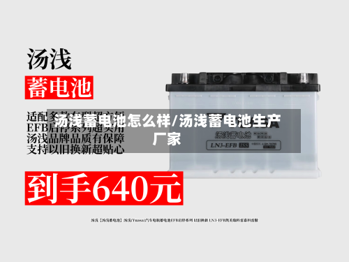 汤浅蓄电池怎么样/汤浅蓄电池生产厂家-第1张图片