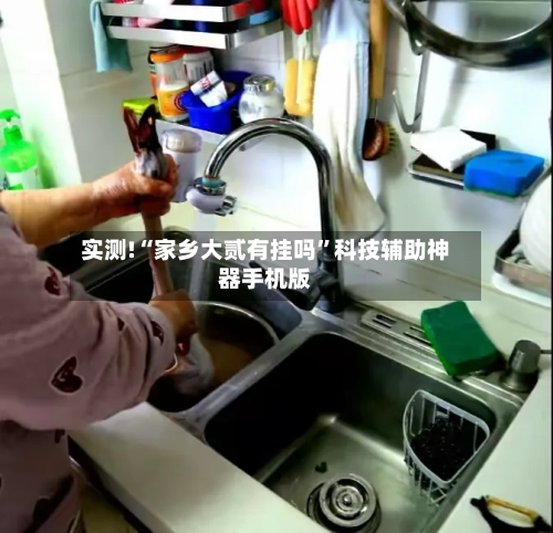 实测!“家乡大贰有挂吗”科技辅助神器手机版-第1张图片
