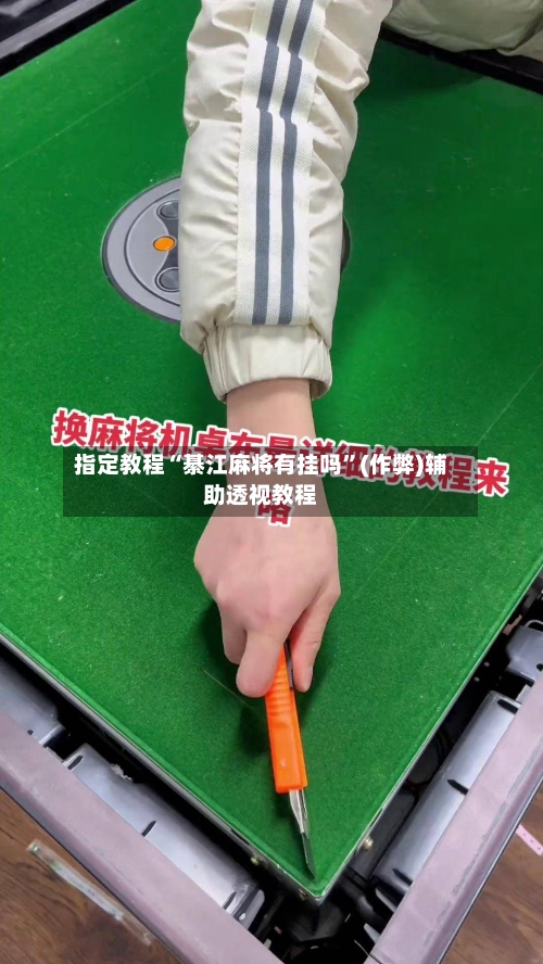 指定教程“綦江麻将有挂吗	”(作弊)辅助透视教程-第1张图片
