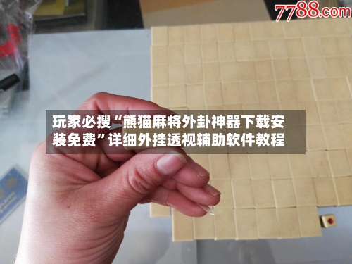 玩家必搜“熊猫麻将外卦神器下载安装免费”详细外挂透视辅助软件教程-第1张图片