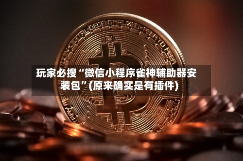 玩家必搜“微信小程序雀神辅助器安装包	”(原来确实是有插件)-第1张图片