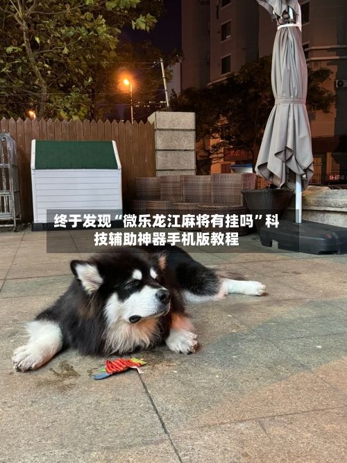 终于发现“微乐龙江麻将有挂吗”科技辅助神器手机版教程-第1张图片