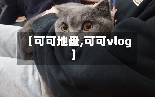 【可可地盘,可可vlog】-第1张图片