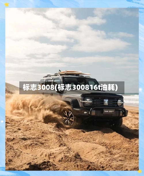 标志3008(标志300816t油耗)-第1张图片