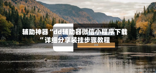 辅助神器“dd辅助器微信小程序下载”详细分享装挂步骤教程-第1张图片