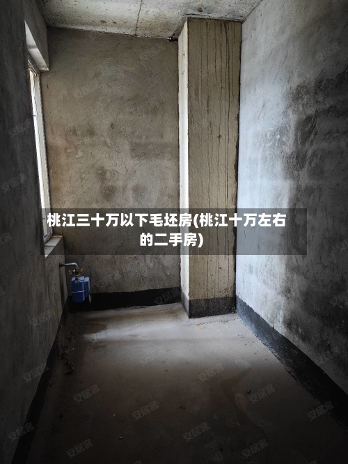 桃江三十万以下毛坯房(桃江十万左右的二手房)-第1张图片