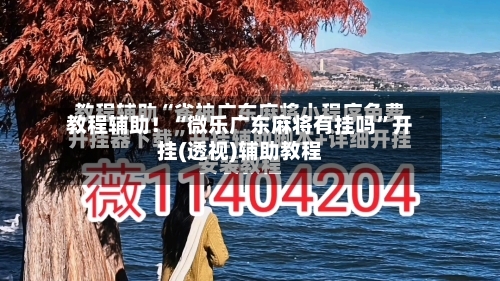 教程辅助！“微乐广东麻将有挂吗”开挂(透视)辅助教程-第1张图片