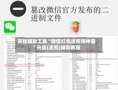 开挂辅助工具“微信红包透视挂神器	”开挂(透视)辅助教程-第1张图片