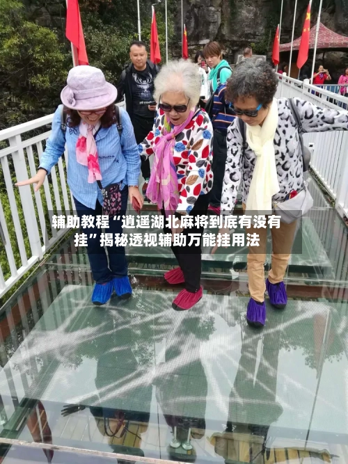 辅助教程“逍遥湖北麻将到底有没有挂	”揭秘透视辅助万能挂用法-第1张图片
