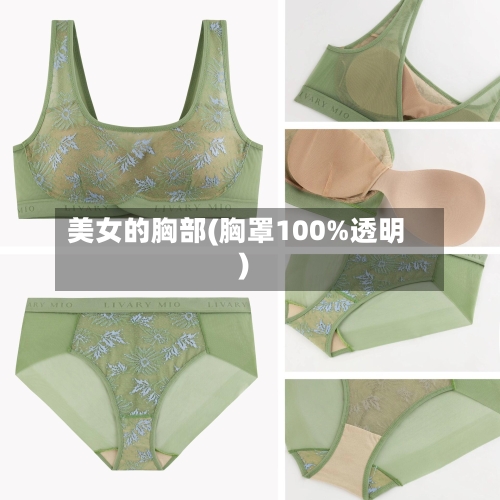 美女的胸部(胸罩100%透明)-第1张图片