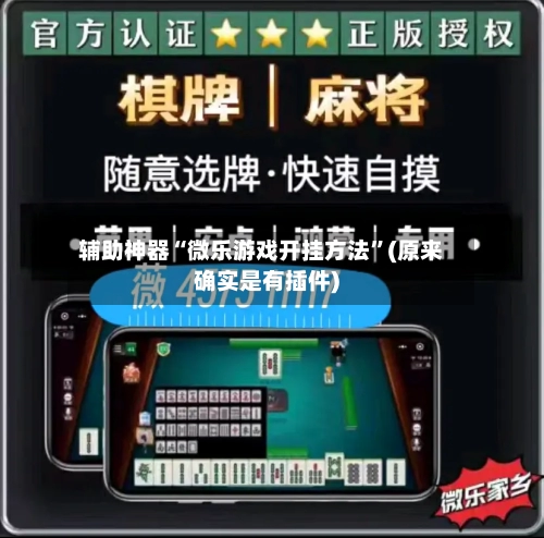 辅助神器“微乐游戏开挂方法	”(原来确实是有插件)-第1张图片