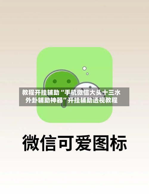 教程开挂辅助“手机微信大头十三水外卦辅助神器	”开挂辅助透视教程-第1张图片