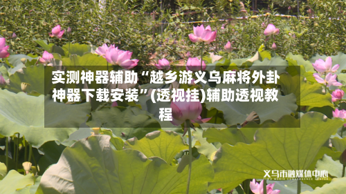 实测神器辅助“越乡游义乌麻将外卦神器下载安装	”(透视挂)辅助透视教程-第1张图片