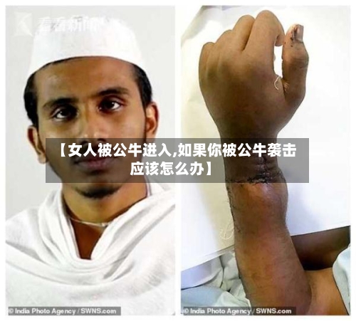 【女人被公牛进入,如果你被公牛袭击应该怎么办】-第1张图片