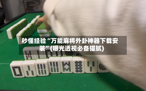 秒懂经验“万能麻将外卦神器下载安装”(曝光透视必备猫腻)-第1张图片