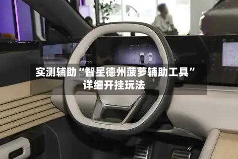 实测辅助“智星德州菠萝辅助工具	”详细开挂玩法-第1张图片