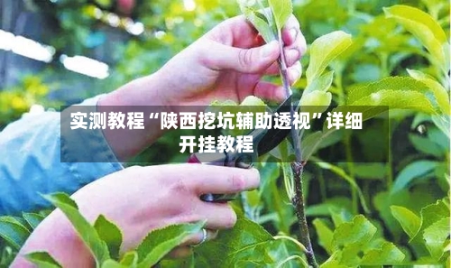 实测教程“陕西挖坑辅助透视”详细开挂教程-第1张图片