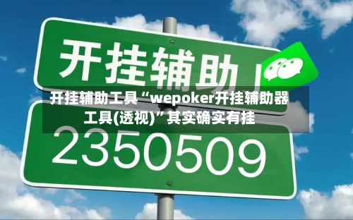 开挂辅助工具“wepoker开挂辅助器工具(透视)	”其实确实有挂-第1张图片