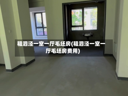 租泗泾一室一厅毛坯房(租泗泾一室一厅毛坯房费用)-第1张图片