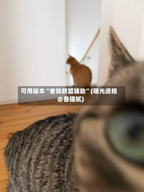可用版本“老铁联盟辅助	”(曝光透视必备猫腻)-第1张图片