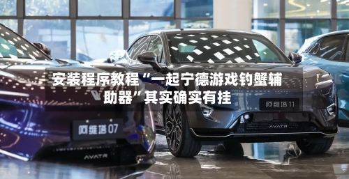 安装程序教程“一起宁德游戏钓蟹辅助器”其实确实有挂-第1张图片